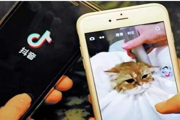 一个手机号能注册几个抖音