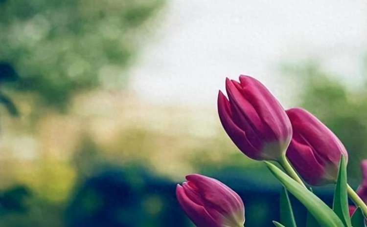 微信爱情大揭秘：谁最关注你的一举一动！